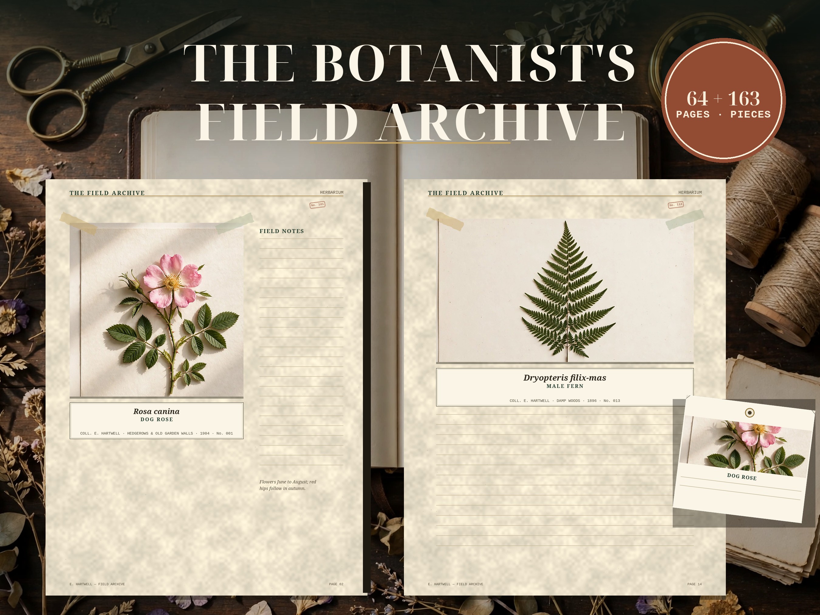 Botanical Junk Journal Kit, Vintage Herbarium Ephemera, Specimen Field Study, Collage Sheets, Fussy Cuts, Printable Journal Add On, 300 DPI